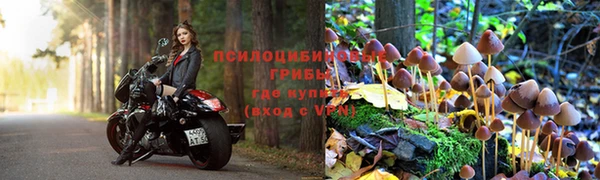 mix Алексин