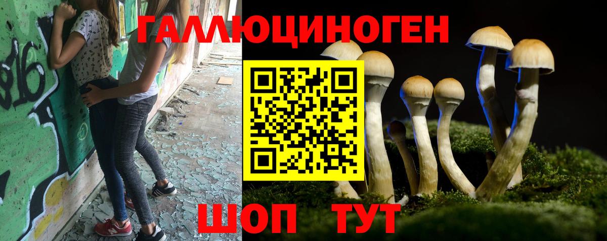 Сухой Лог  Галлюциногенные грибы мицелий  Вход с VPN 