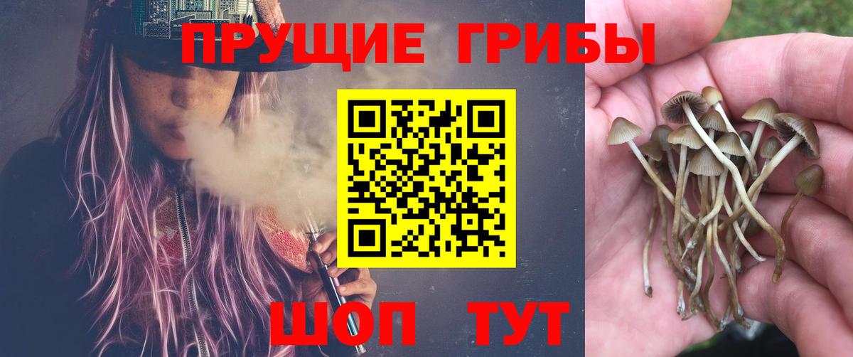 Псилоцибиновые грибы GOLDEN TEACHER Сухой Лог