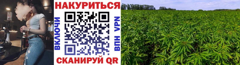 darknet клад  Сухой Лог  Каннабис LSD WEED  закладки 